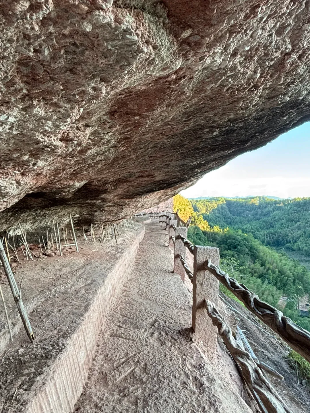 2ae5f4e331b0f398feea50ba78a43680-sz_3214360