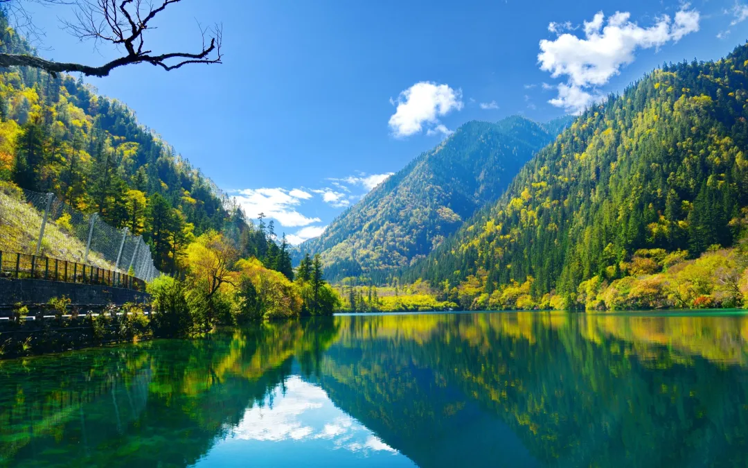 2af888947d2c9dadf0386df72476ba2d-sz_963744