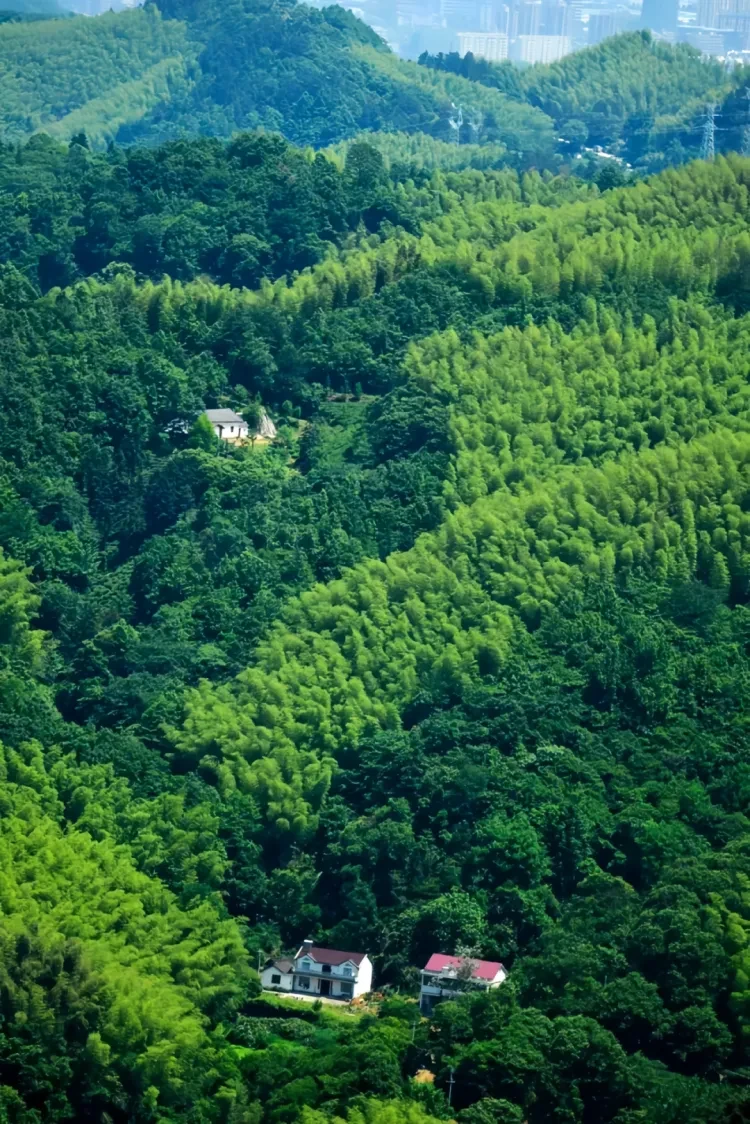 2b0f89501cd92bcf6628d25dde5598df-sz_3192446 2b0f89501cd92bcf6628d25dde5598df-sz_3192446