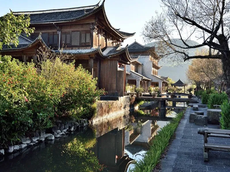 2b171ca410acd95759c40a6421a617d8-sz_223693