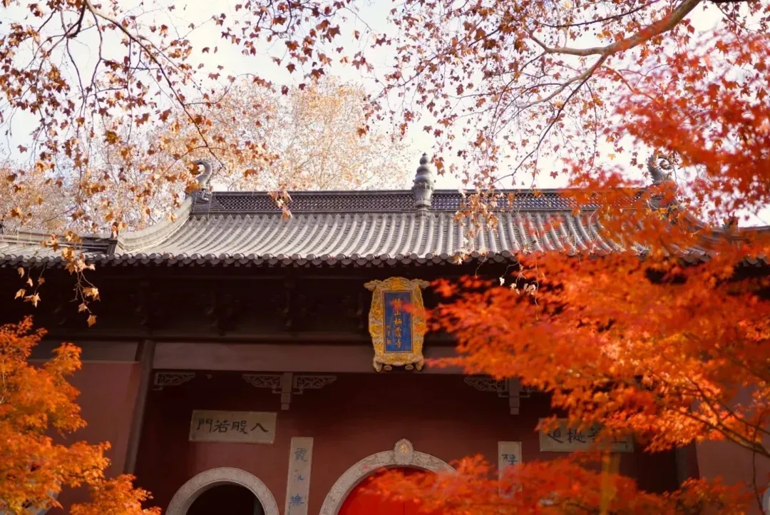 2b199c578acb649ab2f5f612699f2283-sz_1281801 2b199c578acb649ab2f5f612699f2283-sz_1281801