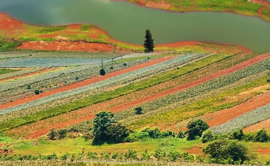 2b4c19456344446cc9ab1872ed489e09-sz_737484