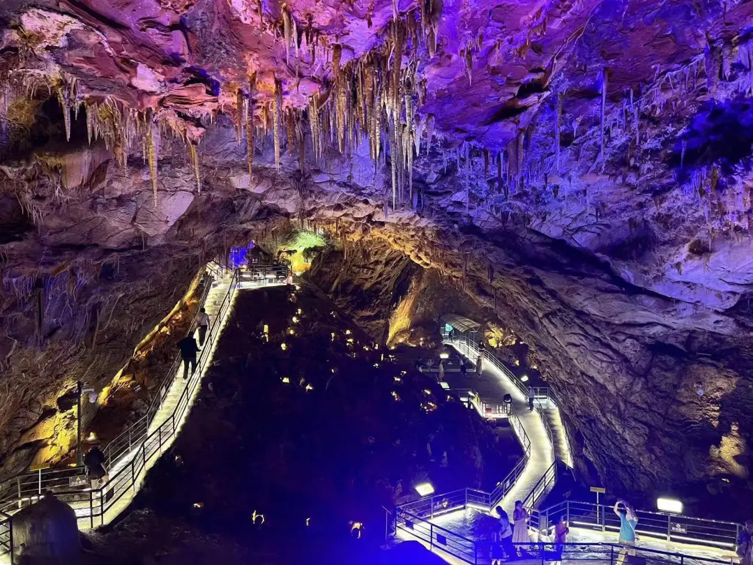 2b8dc17608f31dd6aea30a05e83a7851-sz_492389 2b8dc17608f31dd6aea30a05e83a7851-sz_492389