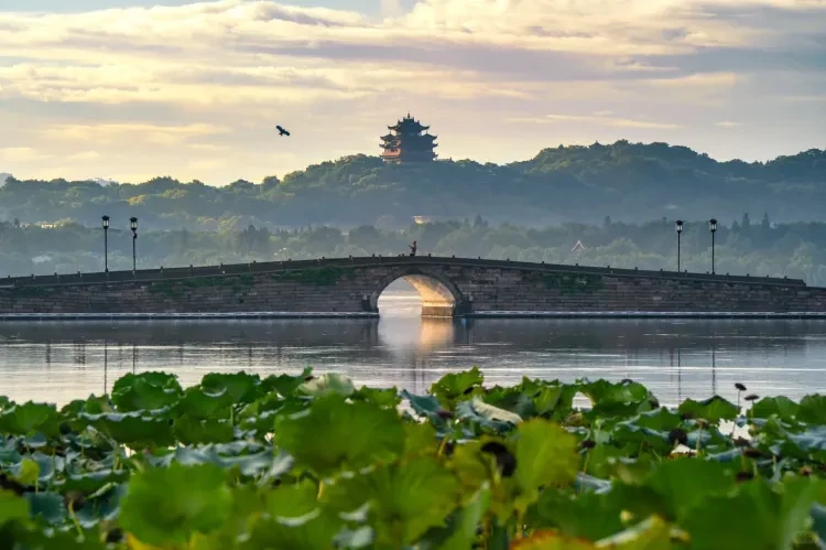 2b945472e74c54420d2eca03f9f48b5c-sz_2668456