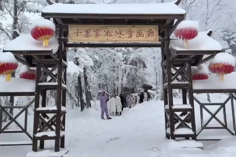 2bad5106d72bf6bfe701bf1af61bf215-sz_751954-1