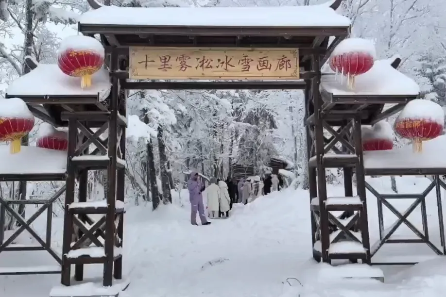 2bad5106d72bf6bfe701bf1af61bf215-sz_751954