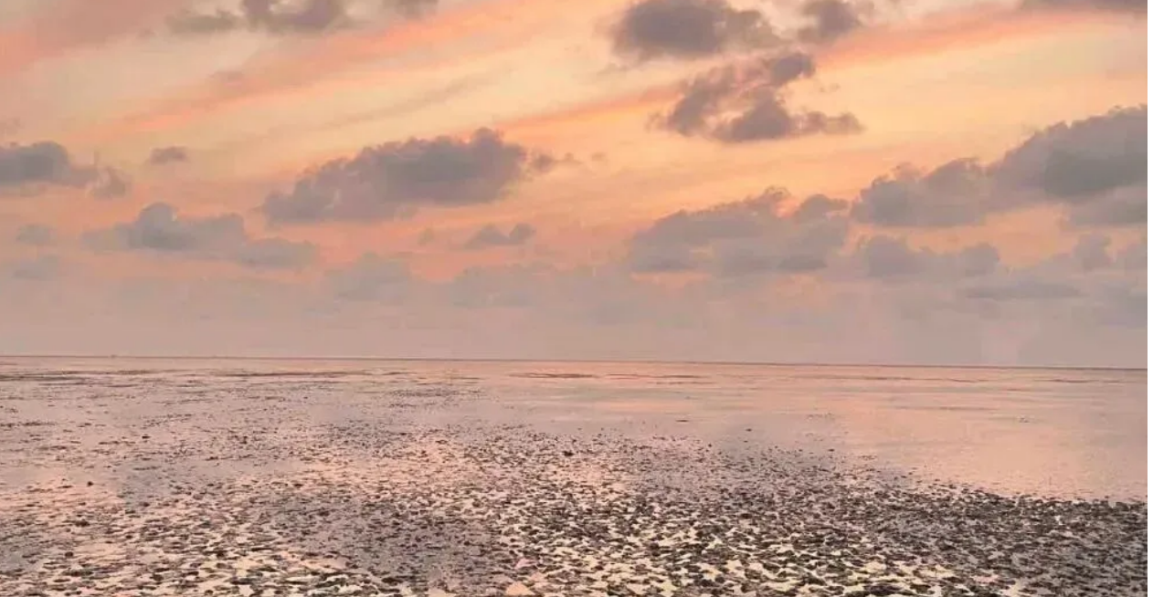 2bf31f6f2a6dc9d149ba38af8c4e9018