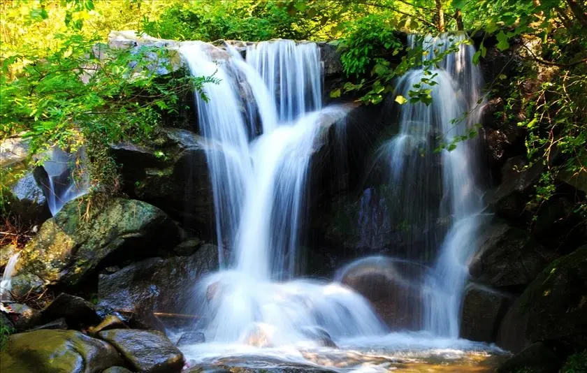 2bf75ad55e40cf88dd914a01f90e16c7-sz_115103 2bf75ad55e40cf88dd914a01f90e16c7-sz_115103