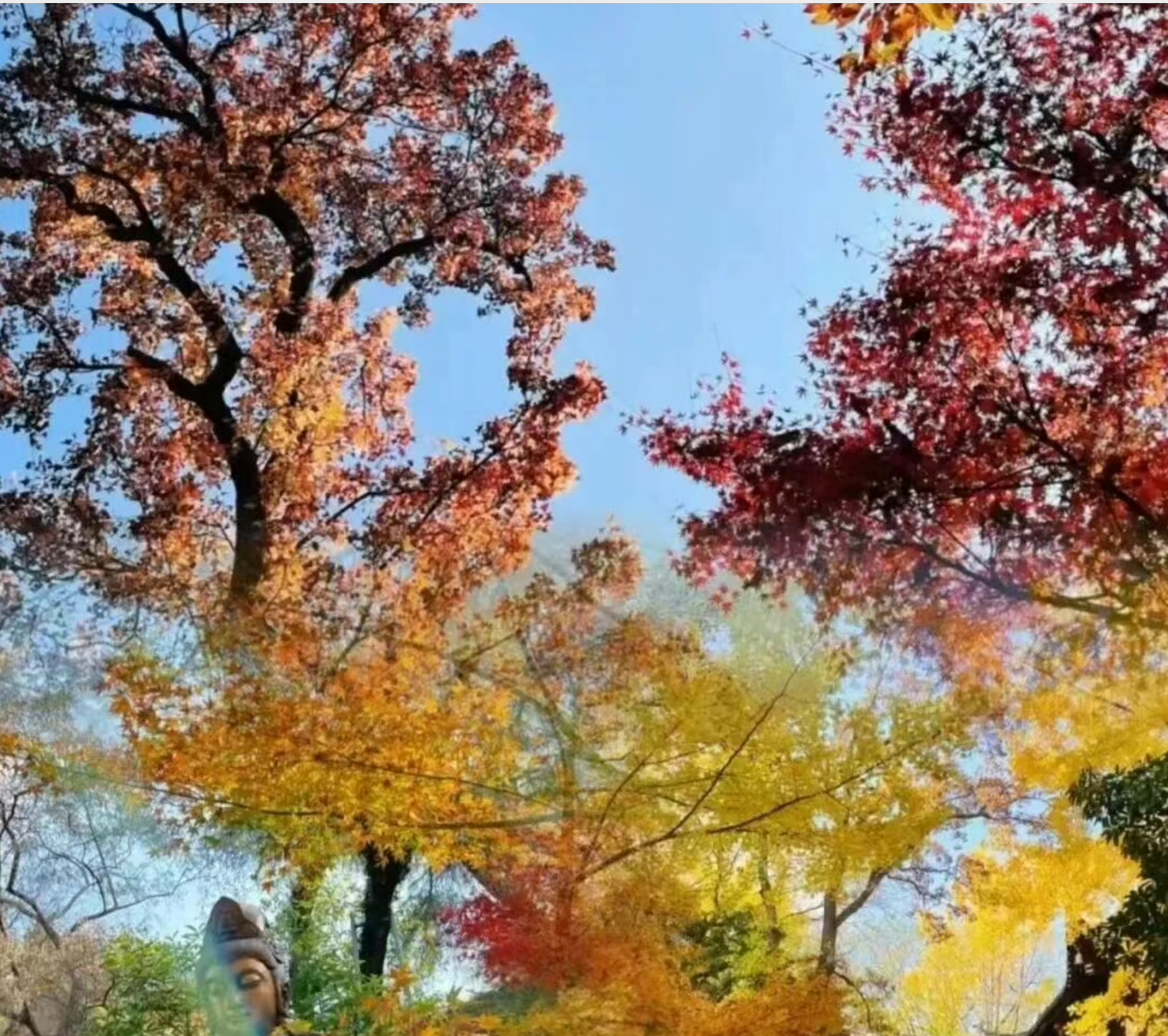 2c0016cd2840bfa53b38d9c44d0f0216 2c0016cd2840bfa53b38d9c44d0f0216