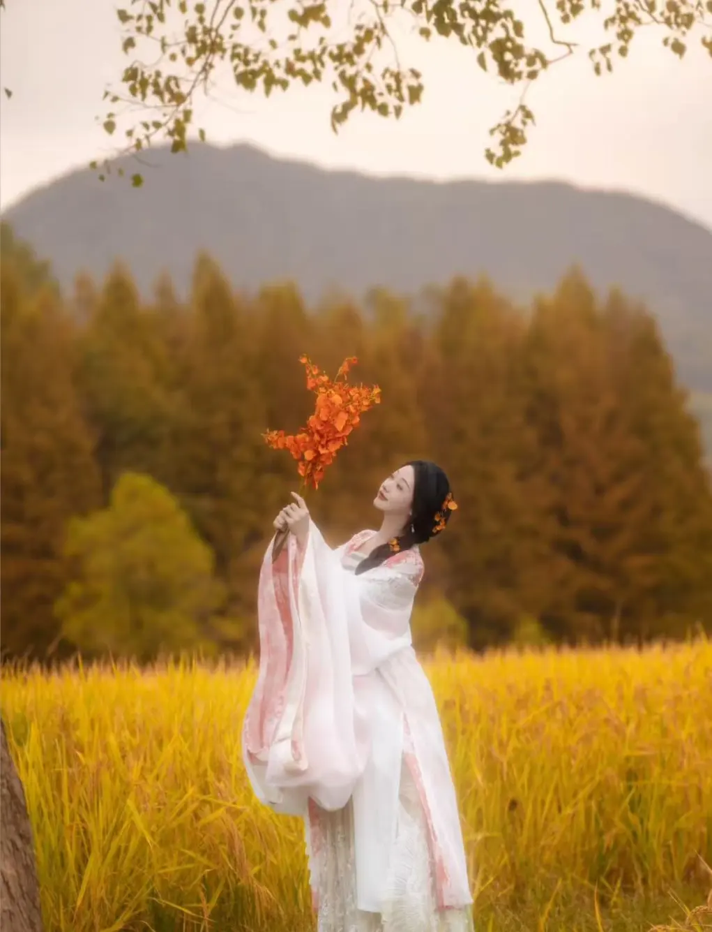 2c38f80944522a805d6ae82761fdb4e4-sz_170663