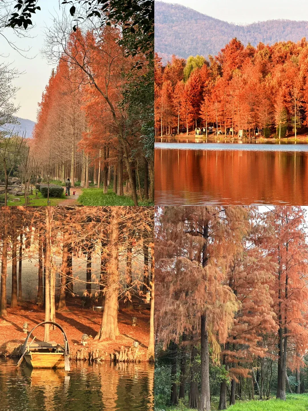 2c7dbd4f0eb7ef4c6e3adf1c5c12ae17-sz_3306313 2c7dbd4f0eb7ef4c6e3adf1c5c12ae17-sz_3306313