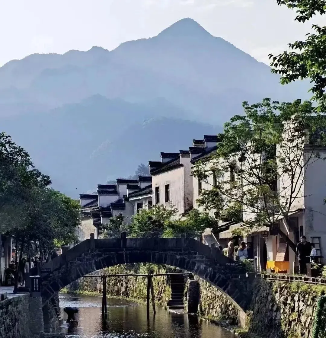 2c9bbfcfd2ed7a0cd71aac2dd25fd7de-sz_234075