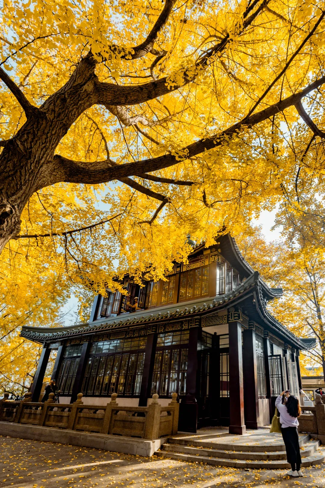 2ccfa6404d7a77ec831b67a19848e89b-sz_3507345 2ccfa6404d7a77ec831b67a19848e89b-sz_3507345