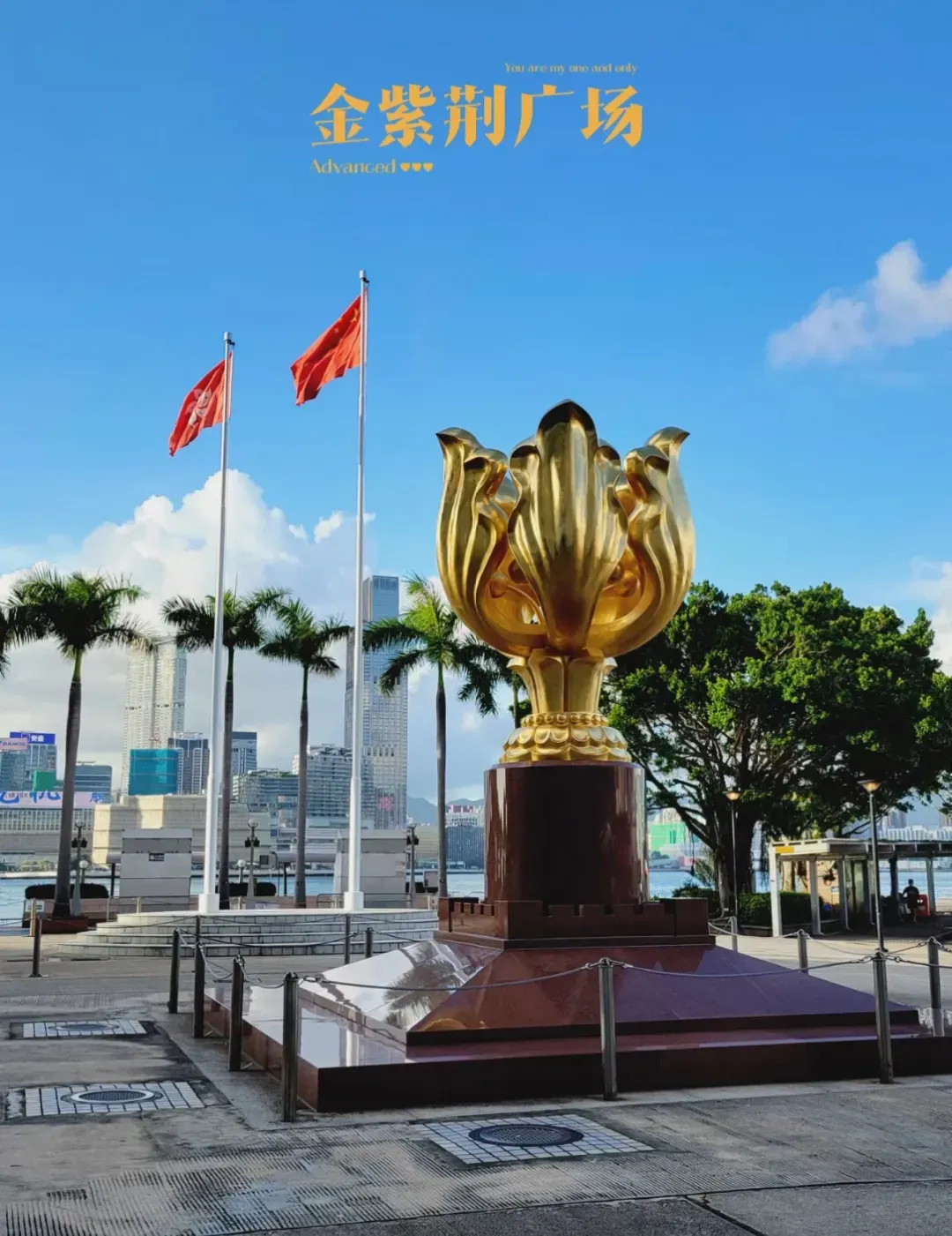 2cd78891a84de8702994181a28a16508-sz_2039210