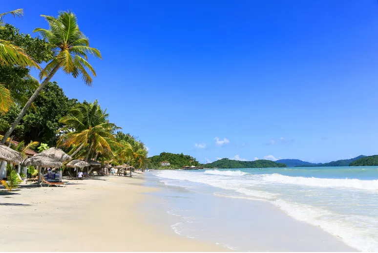 2d0da8a1410fc5d8b7cb8f62b55cd99d-sz_626894