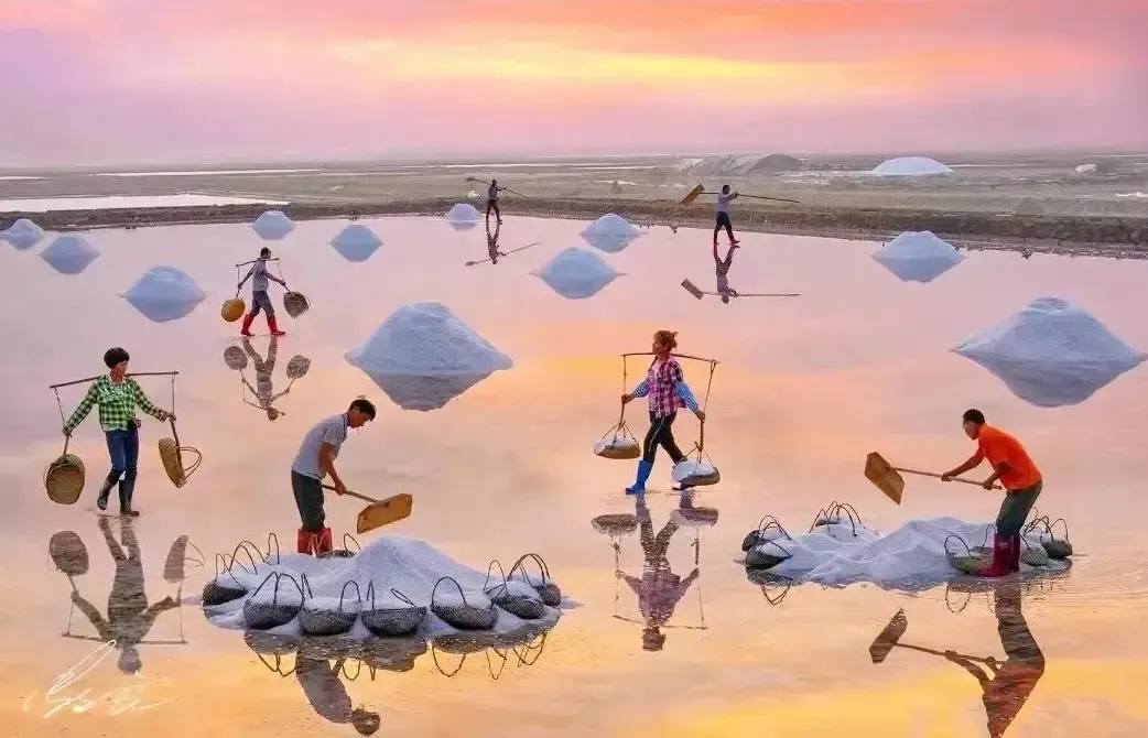 2d235b19fe24efc3b3d183e1b81ed33e-sz_851515