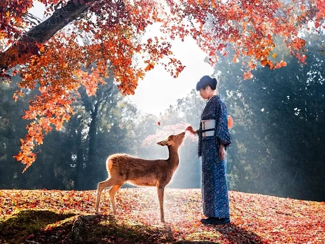 2d583562ff00819f1de6db87235094b2-sz_1701888 2d583562ff00819f1de6db87235094b2-sz_1701888