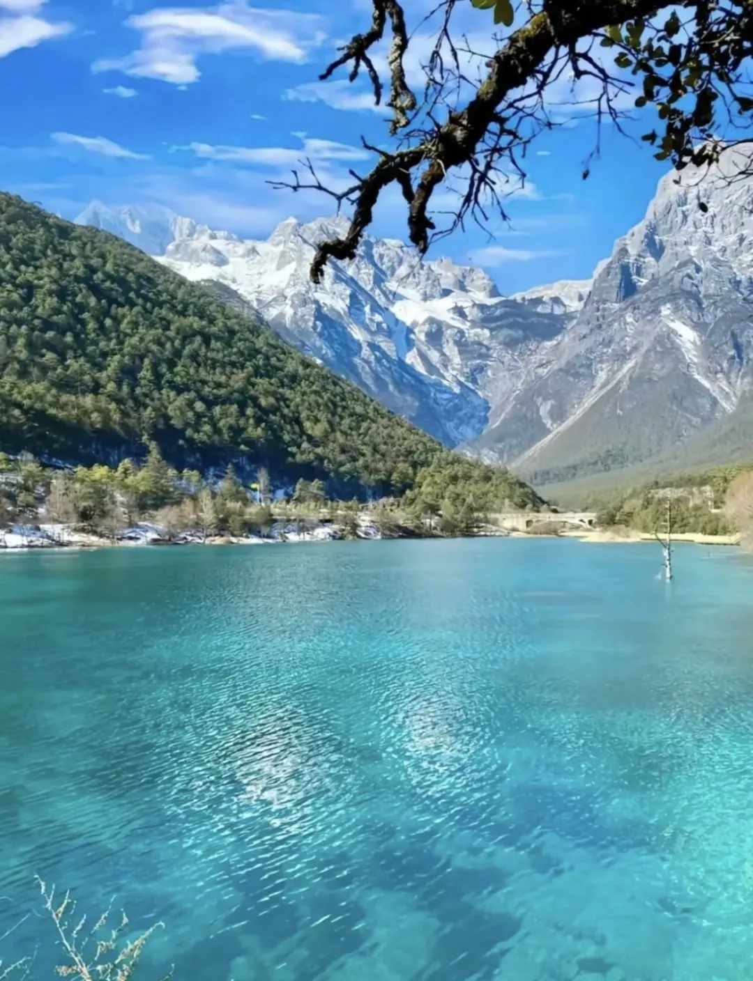 2d61b489f9acfd686fefe6c13bfcae22-sz_539467 2d61b489f9acfd686fefe6c13bfcae22-sz_539467