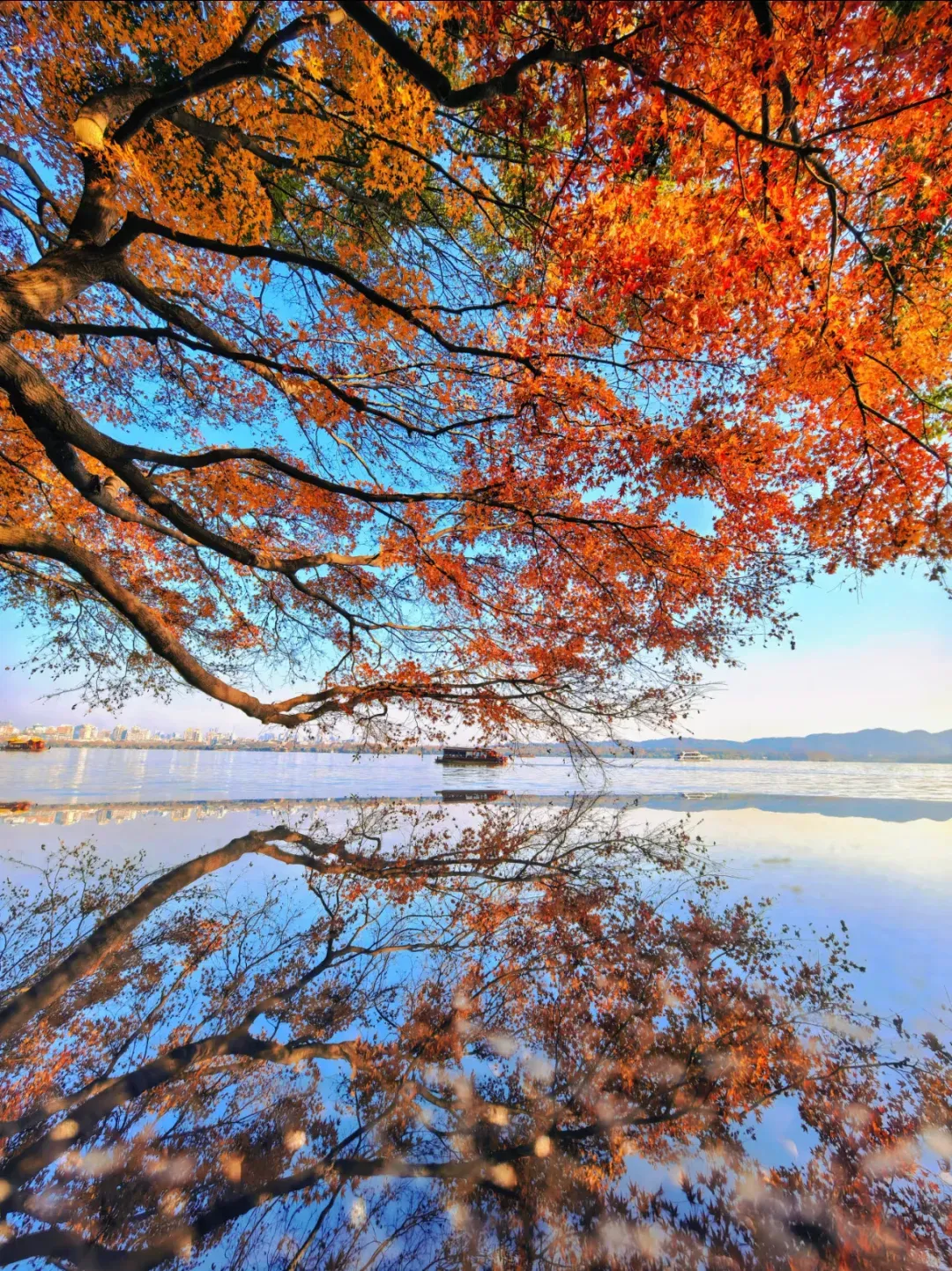 2d65fd1199c294546eaf8061889e902a-sz_4104044 2d65fd1199c294546eaf8061889e902a-sz_4104044