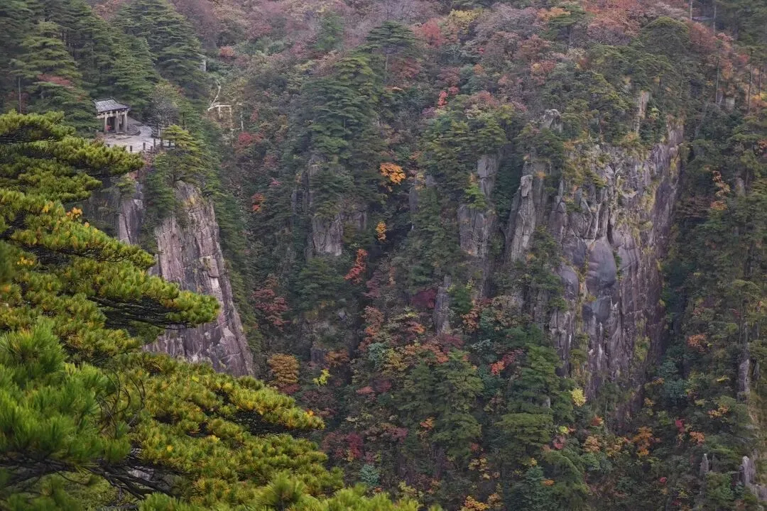 2d68781e63bd69cd3966b0d8034909a4-sz_206830