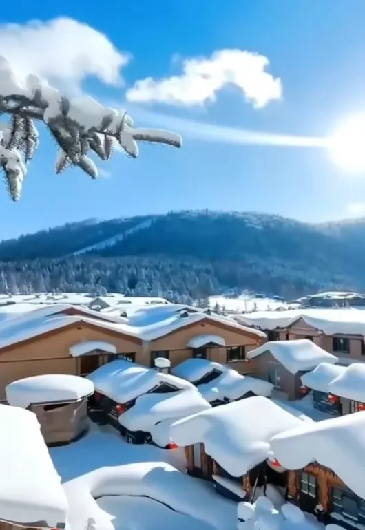 2d8a5f4dcaa08b6f9bec263f5f7597d0-sz_577610