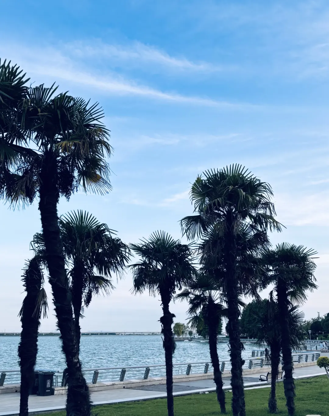 2deb960704567044967dfe1d1bac844a-sz_1478988 2deb960704567044967dfe1d1bac844a-sz_1478988