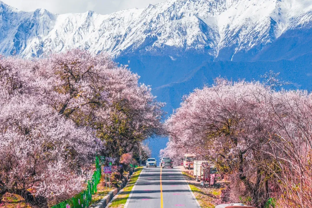 2dee02516315084361bbe7ade4867a06-sz_3241214 2dee02516315084361bbe7ade4867a06-sz_3241214