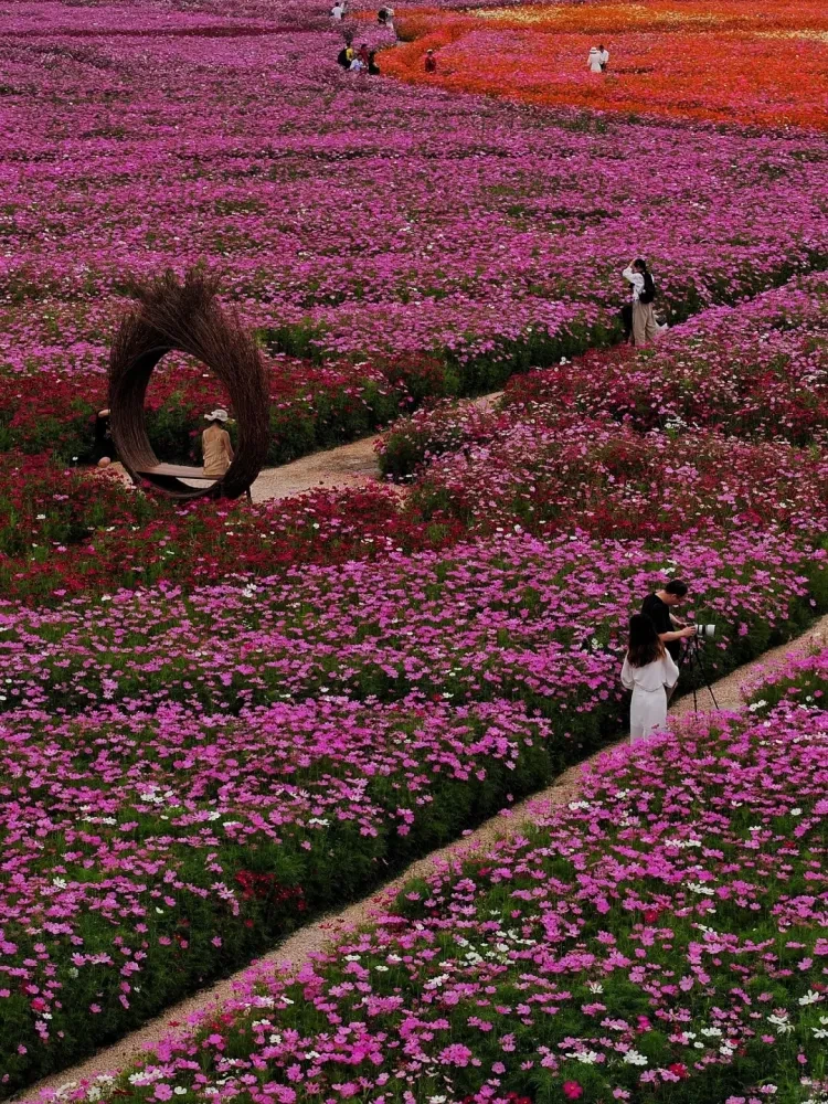 2e38d242d0956820b2307f36bf63e48e-sz_4783547