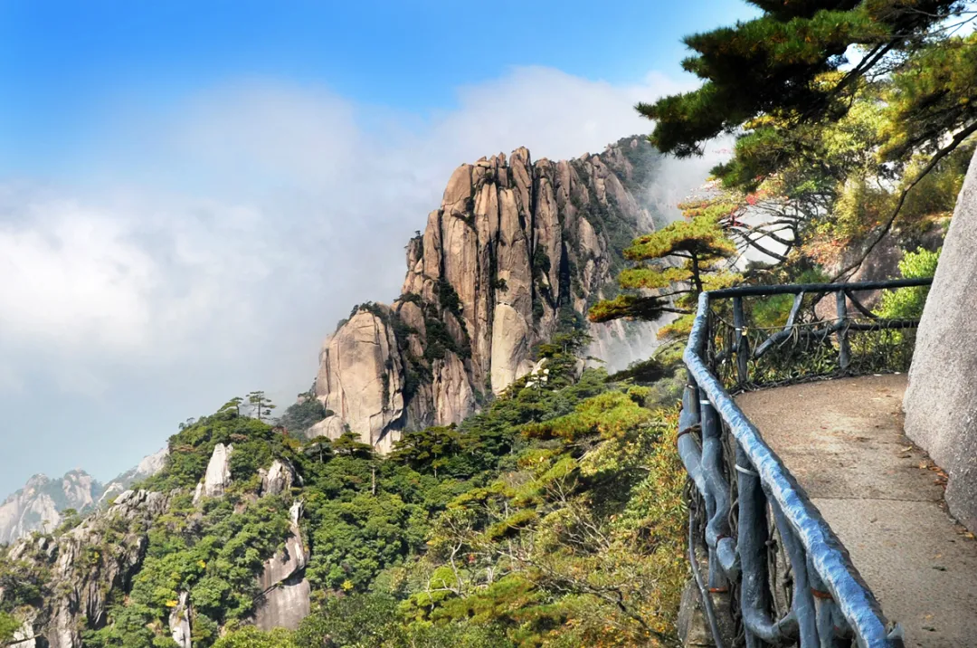 2e3c82661c72d5350b2aaf27bb70aea2-sz_1163525