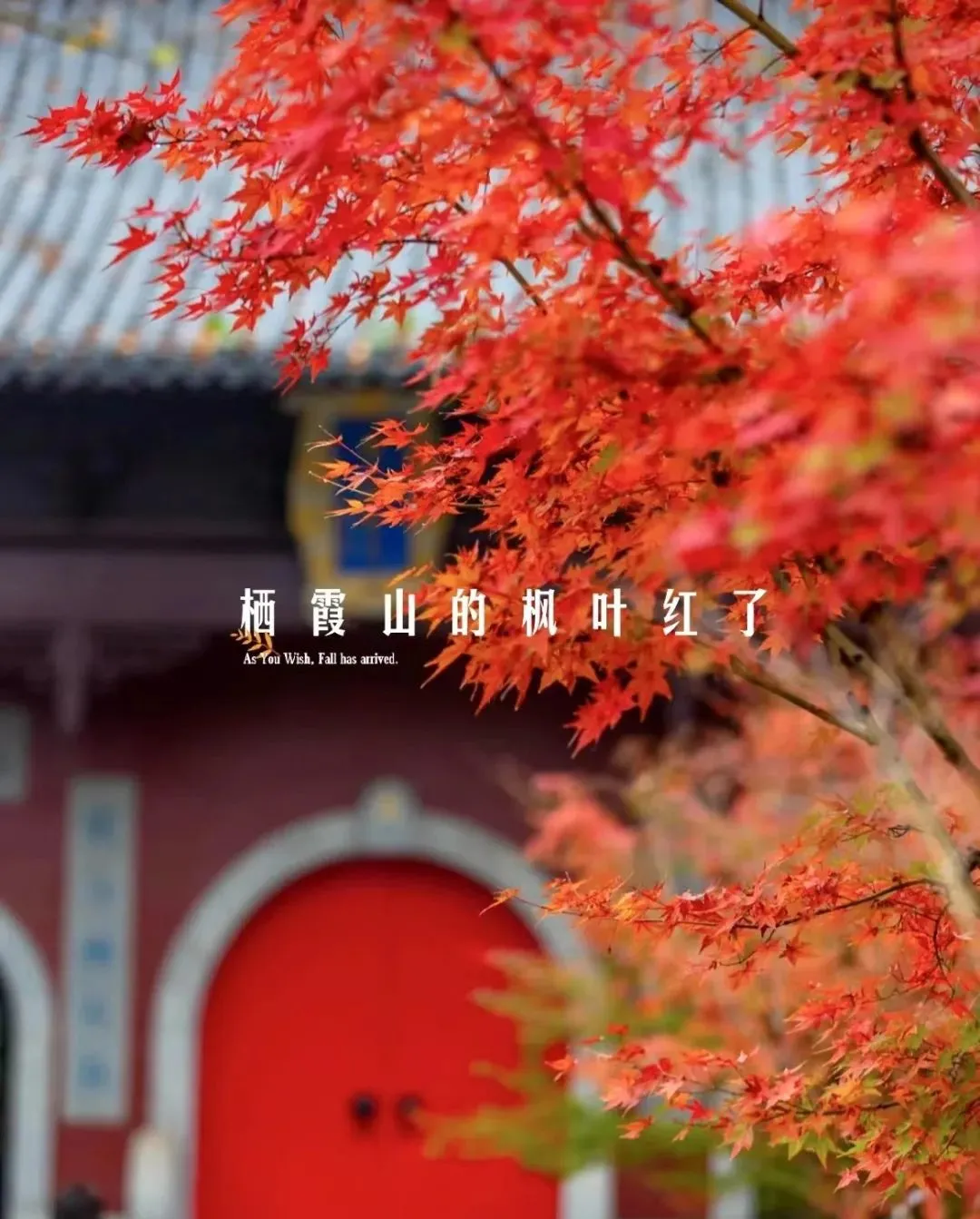 2e68d6e99757cbae84487a19267029f0-sz_186173