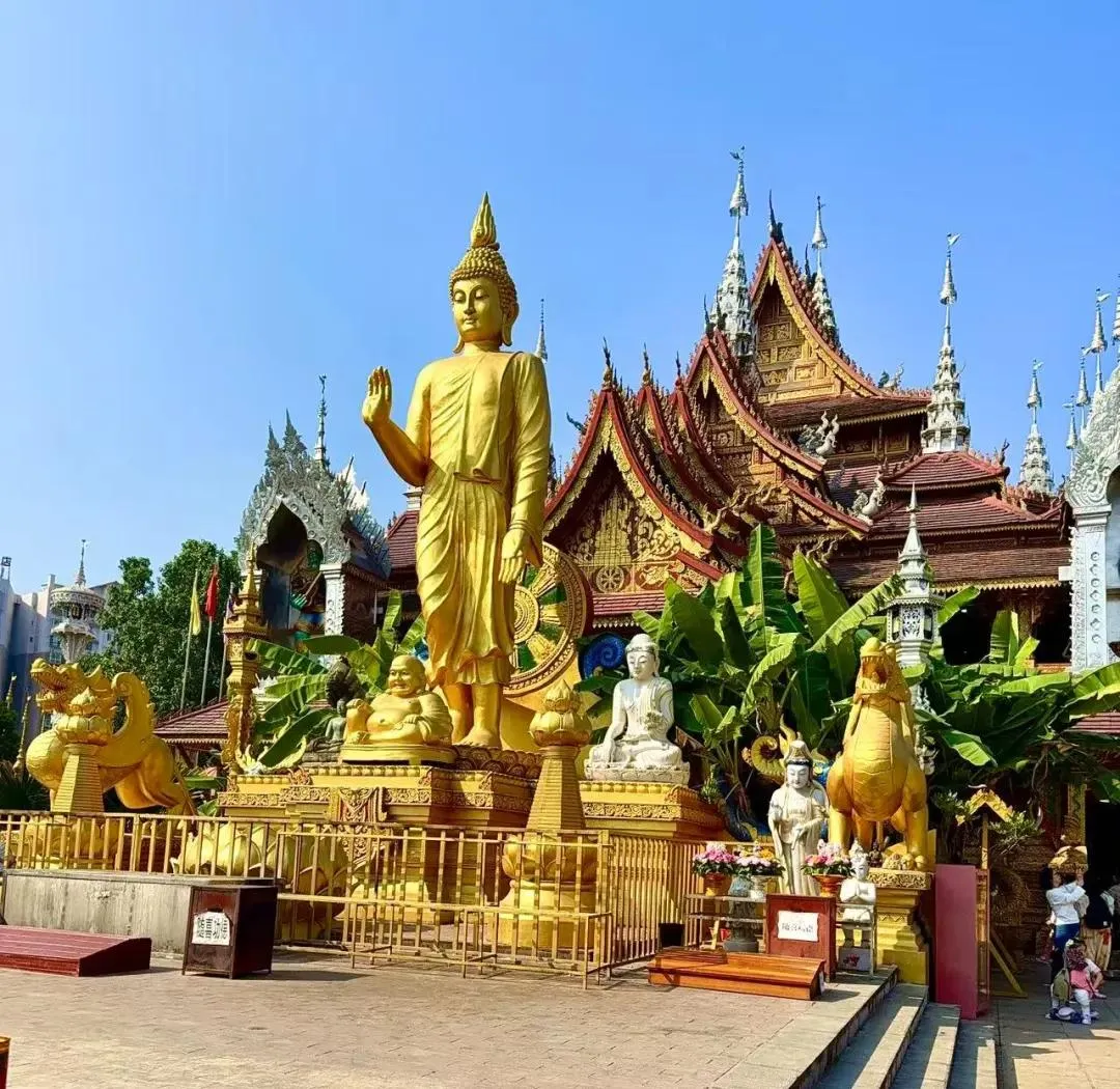 2e8b150edf6b8b0cc843ffe12654c4f9-sz_2305560-2