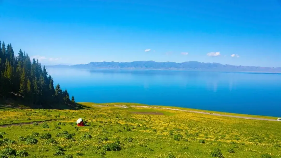 2e8f826f8bc27cb03c212b9cfb367912-sz_1577596