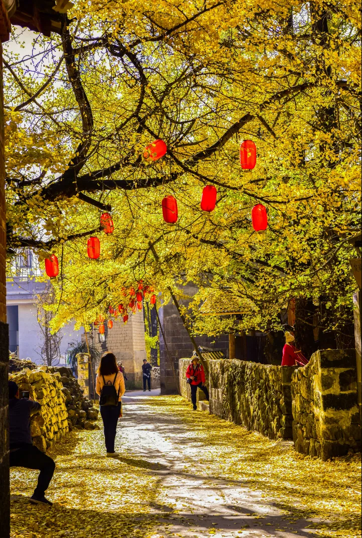 2ea4f5afb494139d2c4ba41401af636b-sz_2453015-2