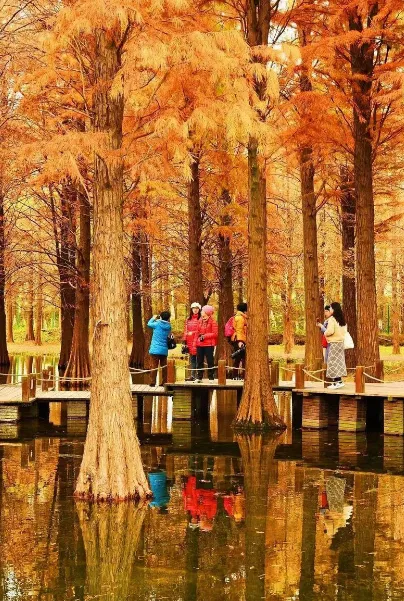 2ea54ee0966ab5c0c6de63dc97318a75-sz_662829 2ea54ee0966ab5c0c6de63dc97318a75-sz_662829