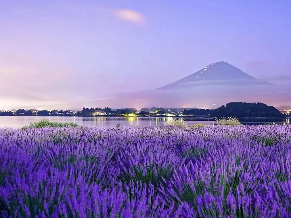 2ebd8ff230767a9840dce12fc05eb160-sz_278964 2ebd8ff230767a9840dce12fc05eb160-sz_278964