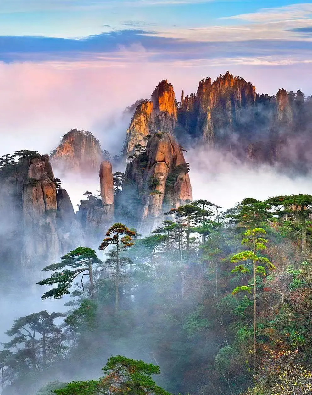 2ecb0d6a45ba3ef18feddbb922da4eda-sz_266545