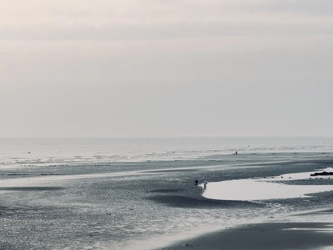 2eeafb44da954c738682384329b91230-sz_1106811 2eeafb44da954c738682384329b91230-sz_1106811