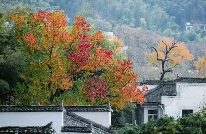 2f17f6a8ad2b50af6492983954c26028-sz_76513 2f17f6a8ad2b50af6492983954c26028-sz_76513