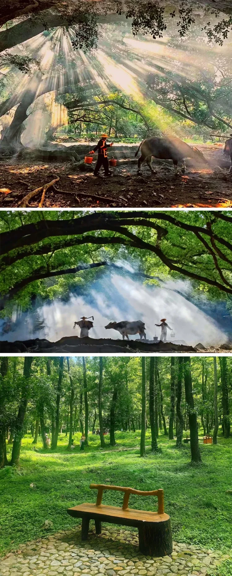 2f2133d3e6bc11c87cb8c9aa89a0518e-sz_2303414 2f2133d3e6bc11c87cb8c9aa89a0518e-sz_2303414