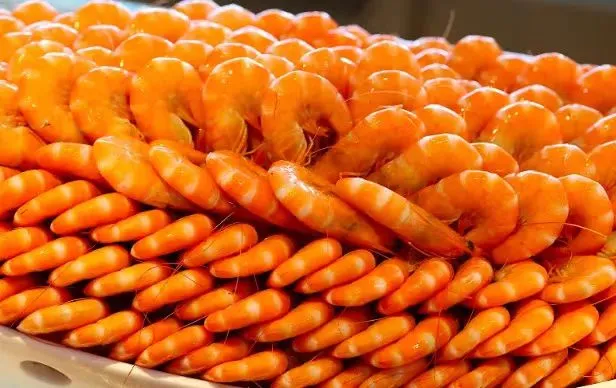 2f2c9f9d2987c170969e3801dce4df93-sz_52694 2f2c9f9d2987c170969e3801dce4df93-sz_52694