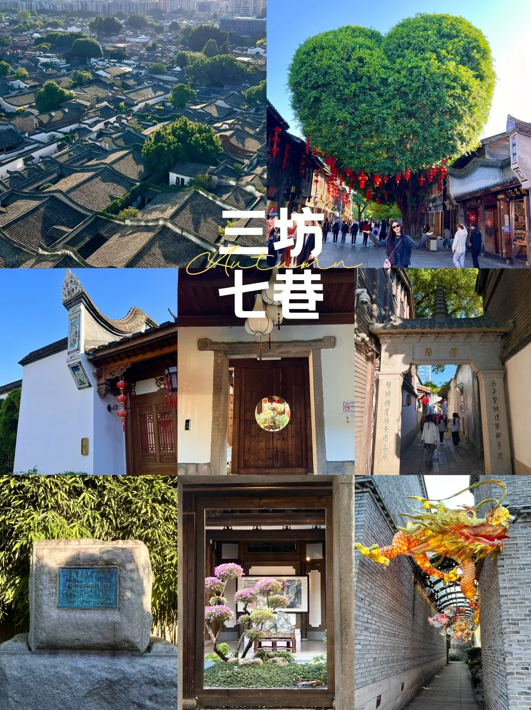 2f3660f949544c806e702b57c829783b-sz_3832461