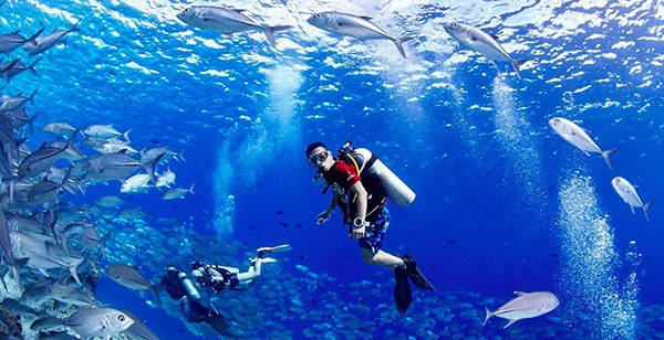 2f64402eca1348098b1e78c5d14a6a9f_th 2f64402eca1348098b1e78c5d14a6a9f_th