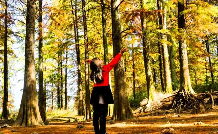 2fa01d72c3fb785f68a50a6deca43c44-sz_1001293 2fa01d72c3fb785f68a50a6deca43c44-sz_1001293