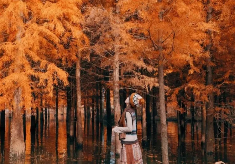 2fa282592aca3d1e81987bdb94310c61-sz_1595205