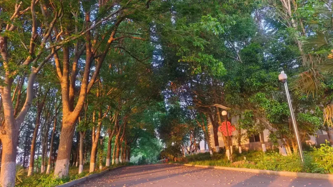 2fc43d2d05223f73676e48edf848ce3b-sz_2094368