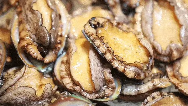 2fdaa267d68b0384f45669da863ce735-sz_608600