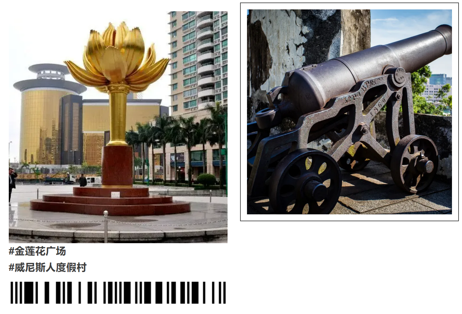 2fed21a588e56c19091d0db8421f3791