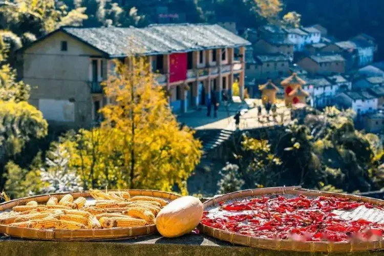 2ff5ecbdefb110ee30cda5b9ec5366b7-sz_96860 2ff5ecbdefb110ee30cda5b9ec5366b7-sz_96860