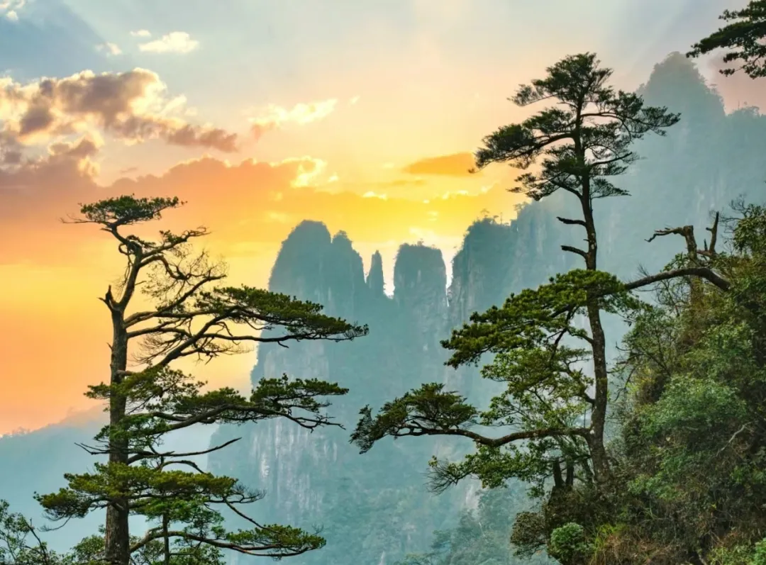 3002c7d90221203caccdab0187d1045f-sz_1610950