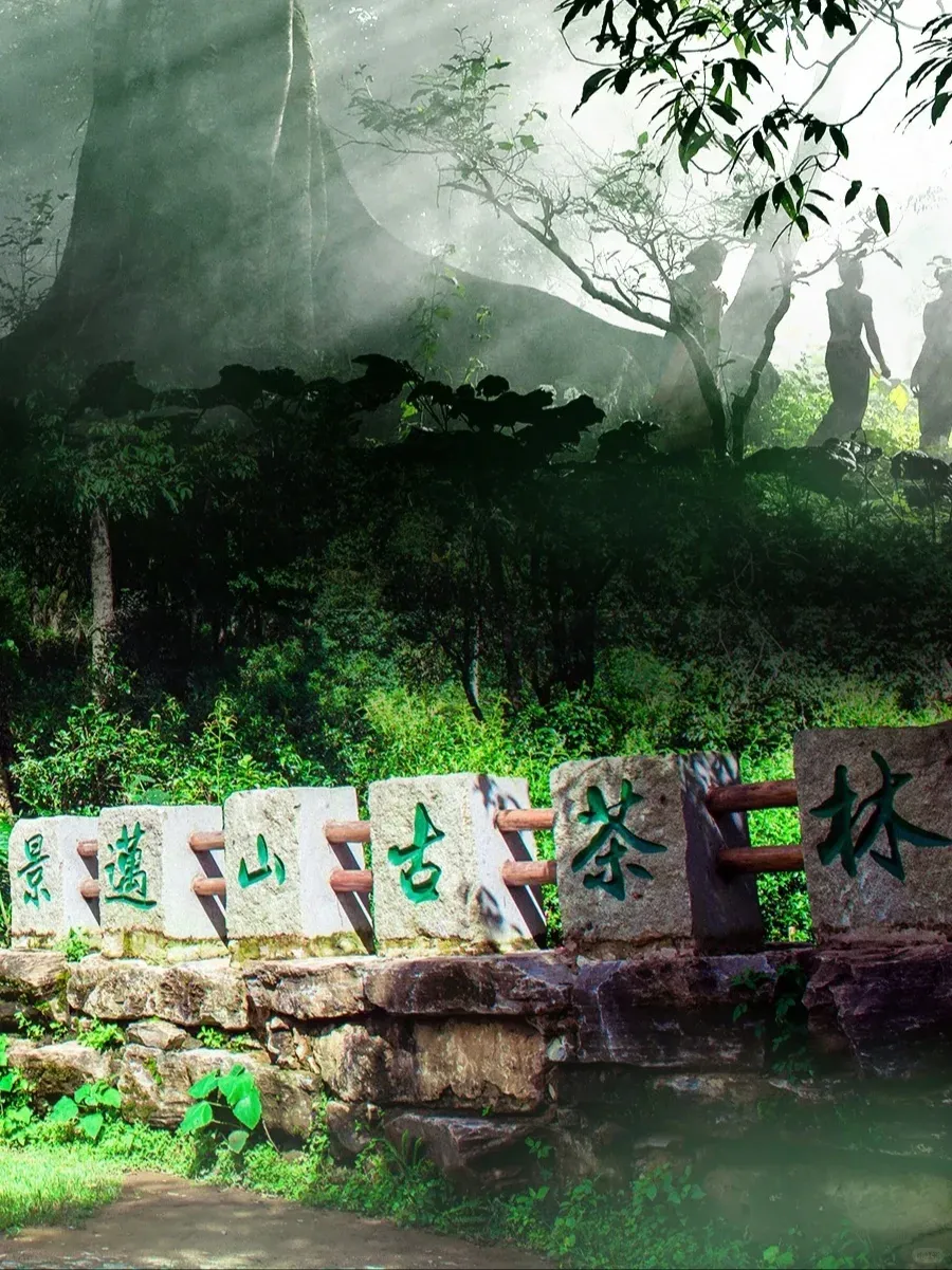 3005c588c3c087a75ae5181b7be64390-sz_2409325